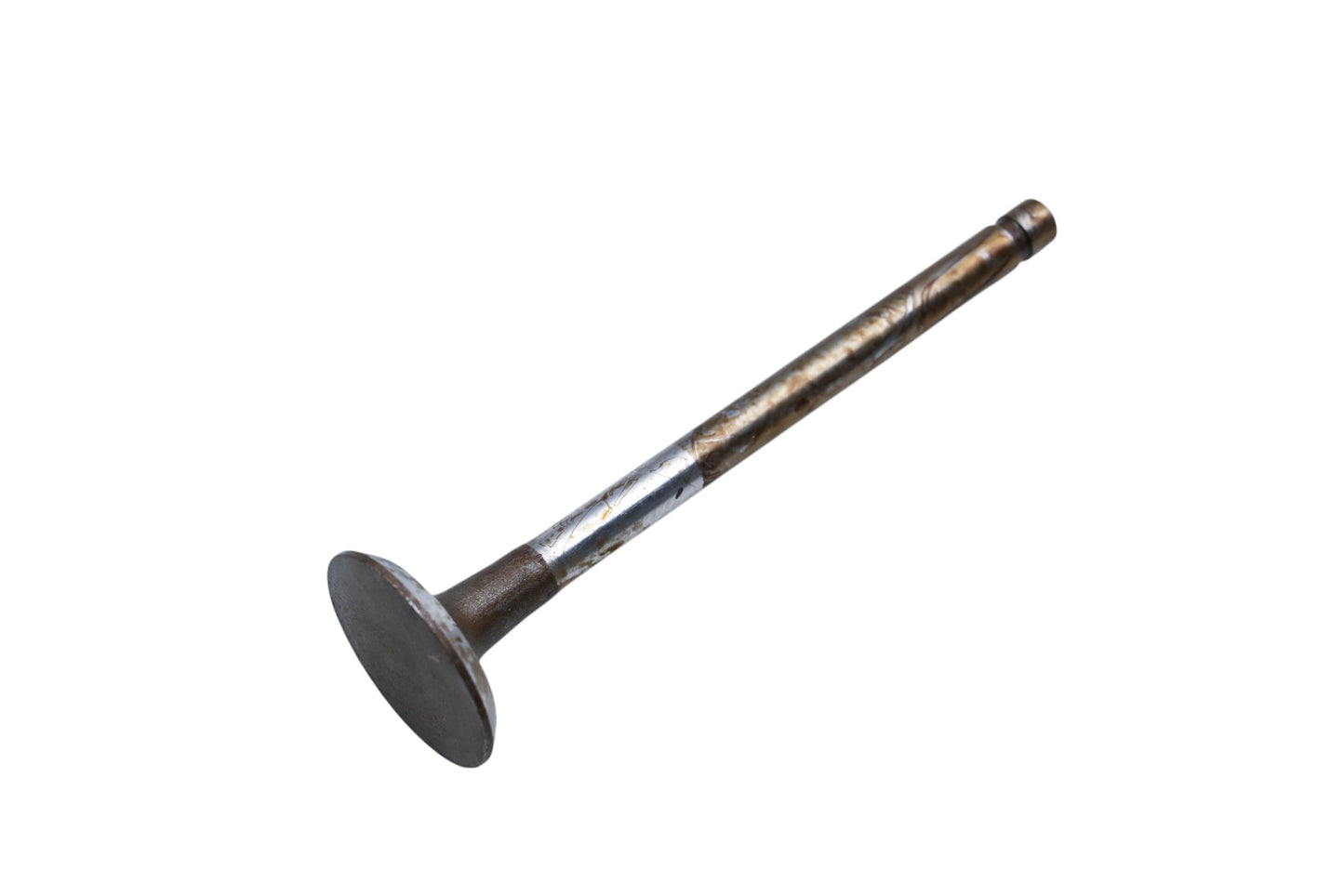 Sealed Power 2-V-816, V-816 Intake Valve NOS