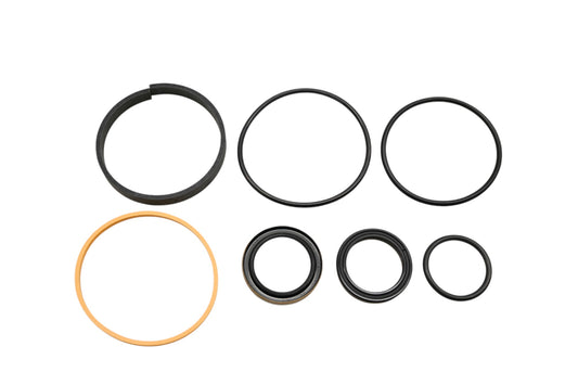Hyster 250051, HY250051 Seal Kit NOS