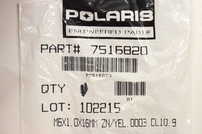 OEM Polaris Screws 7516820 Qty 2