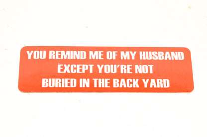 Aftermarket Novelty Decal NOS