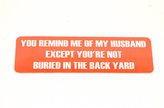 Aftermarket Novelty Decal NOS