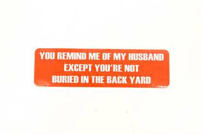 Aftermarket Novelty Decal NOS
