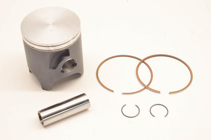 Vertex 22601C, 09100219 Piston Kit NOS