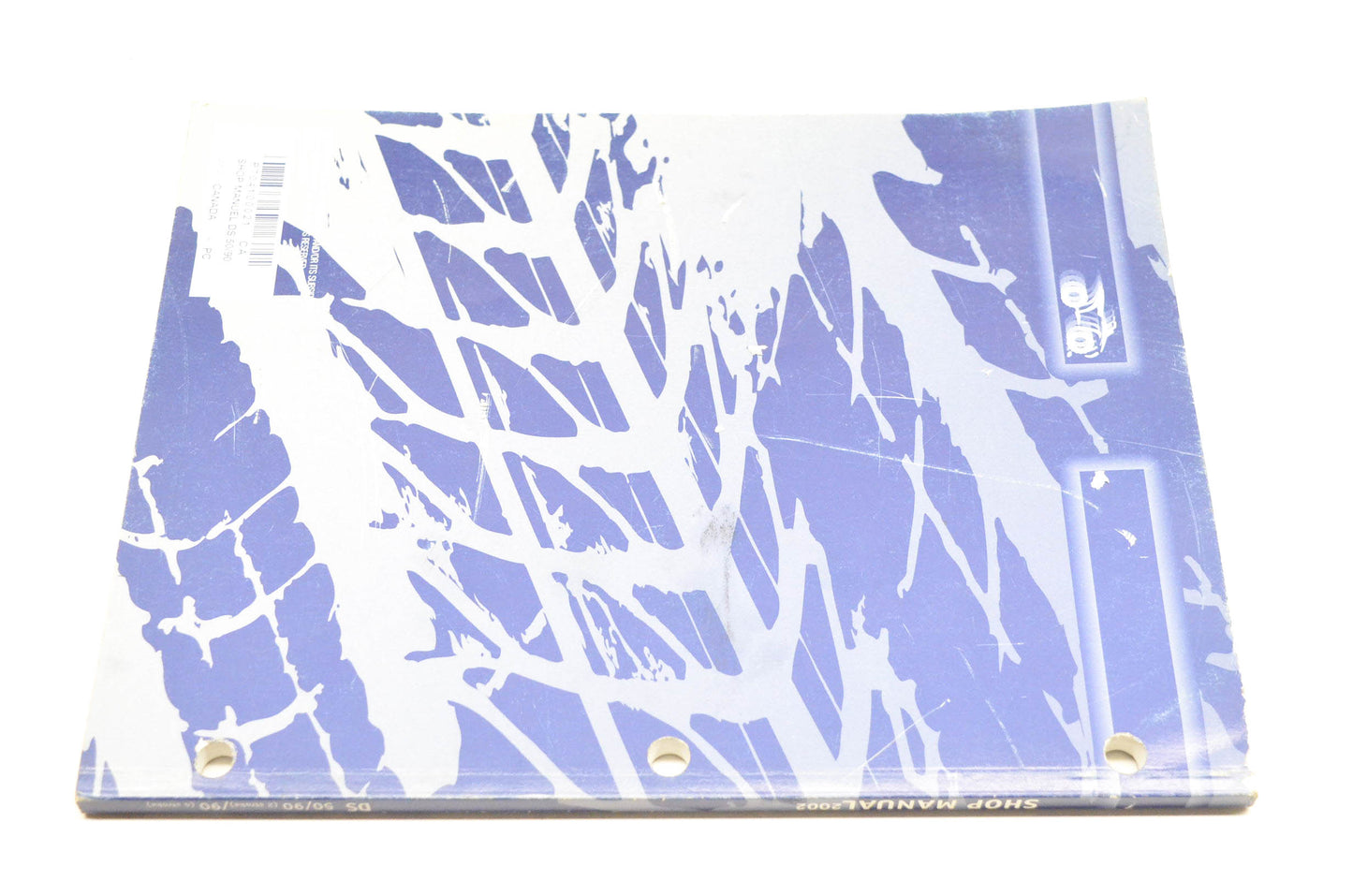 Bombardier 704100021 2002 DS50/90 Shop Manual