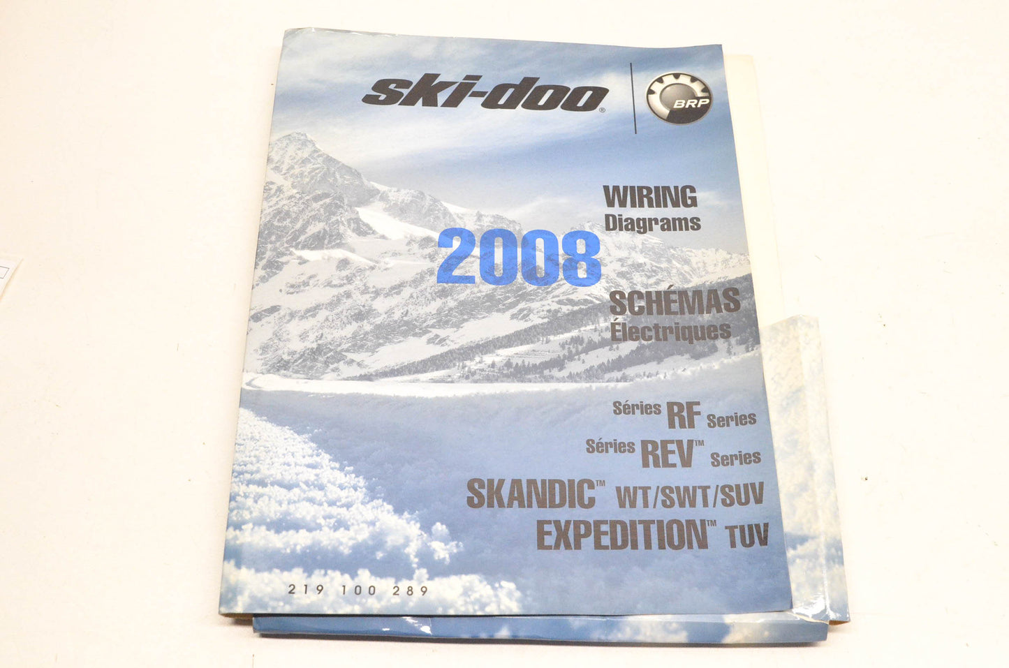 Ski Doo 219100289 2008 Wiring Diagrams