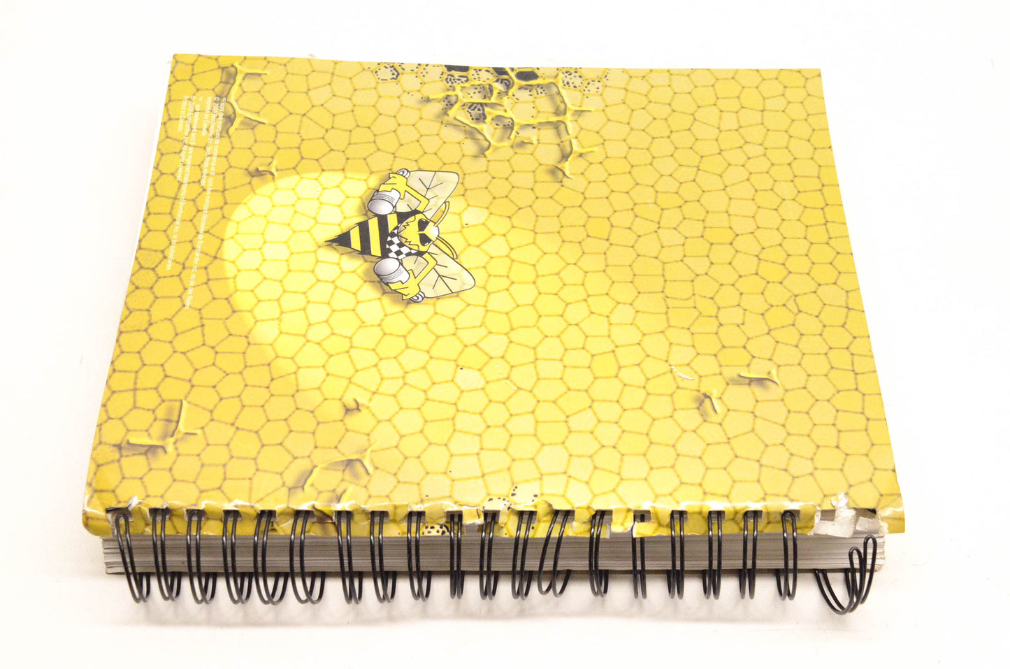 Ski Doo 484800166 2004 Yellow Book