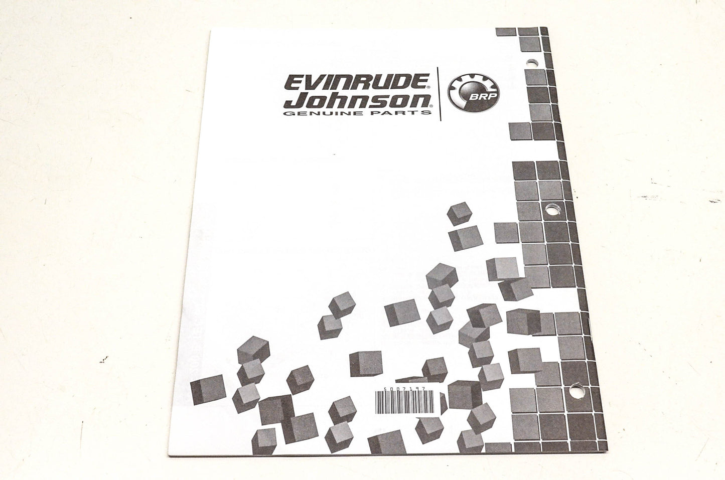 OEM BRP 5007197 2007 Evinrude E-Tec Parts Catalog