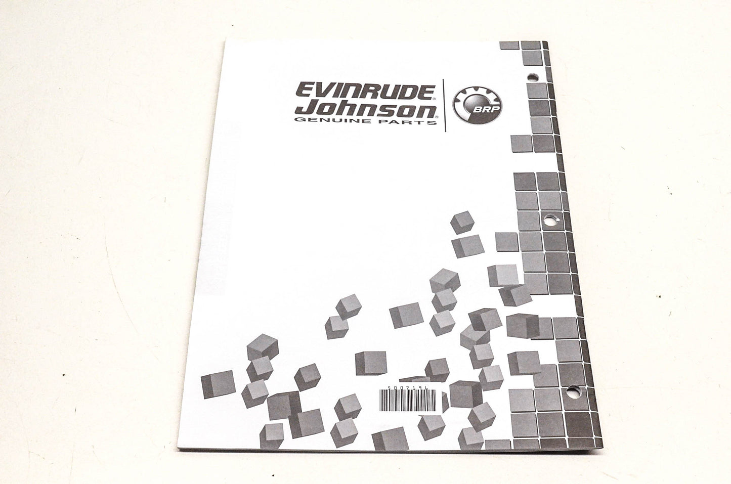 OEM BRP 5007196 2007 Evinrude E-Tec Parts Catalog