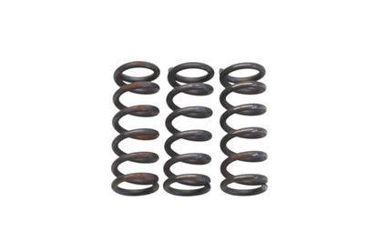 Aftermarket 417005700 Springs Qty 3 NOS