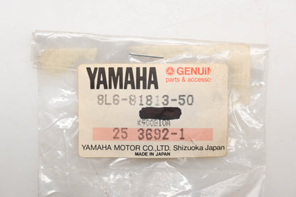 New OEM Yamaha 8L6-81813-50-00 Brush Springs Qty 2 NOS