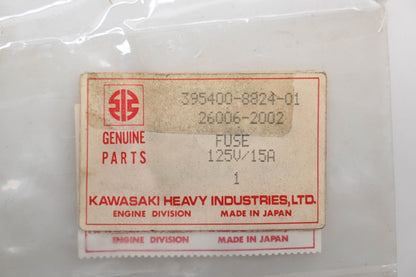 New OEM Kawasaki 26006-2002 Fuse 125V/15A Qty 1 NOS
