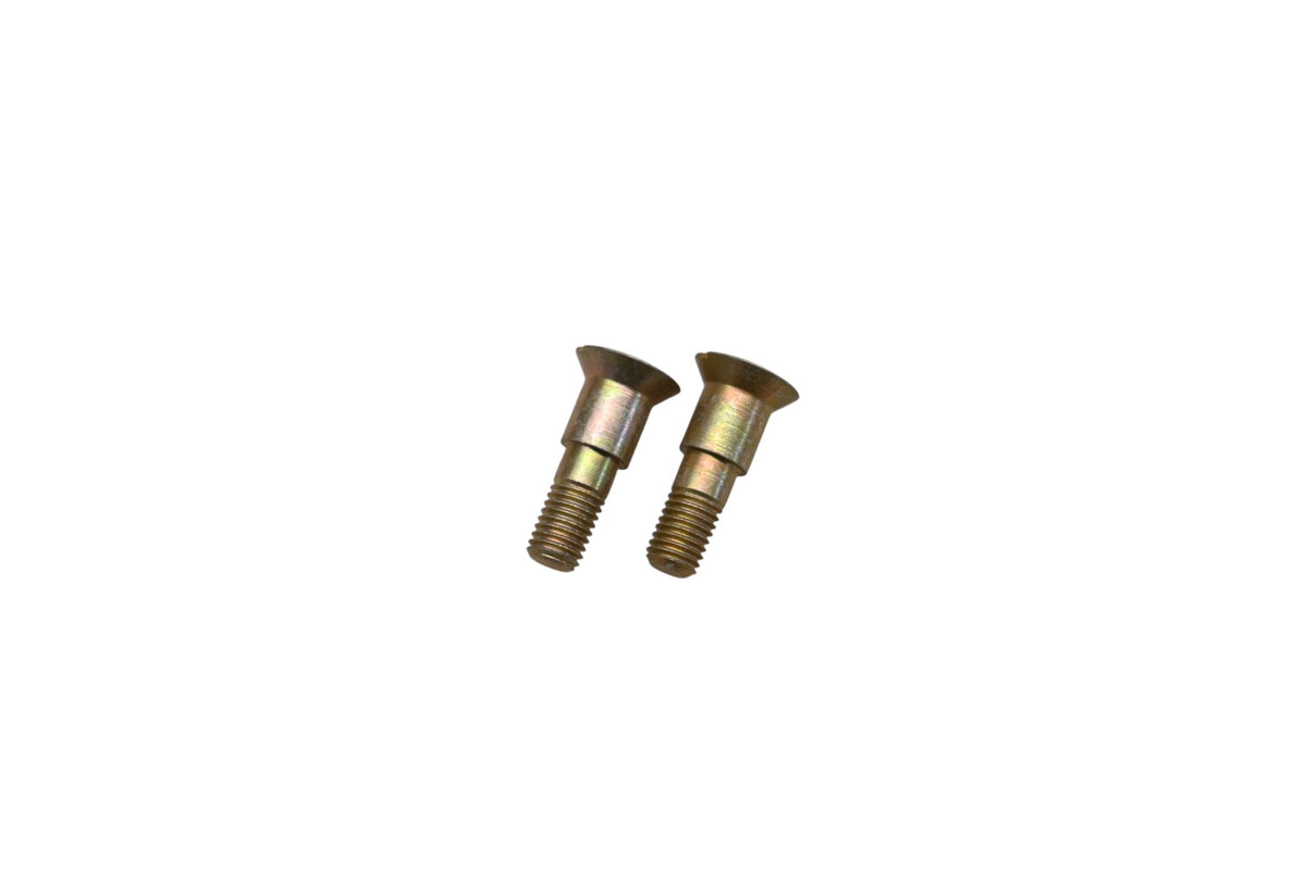 Aftermarket 10-20217 Screws Qty 2 NOS