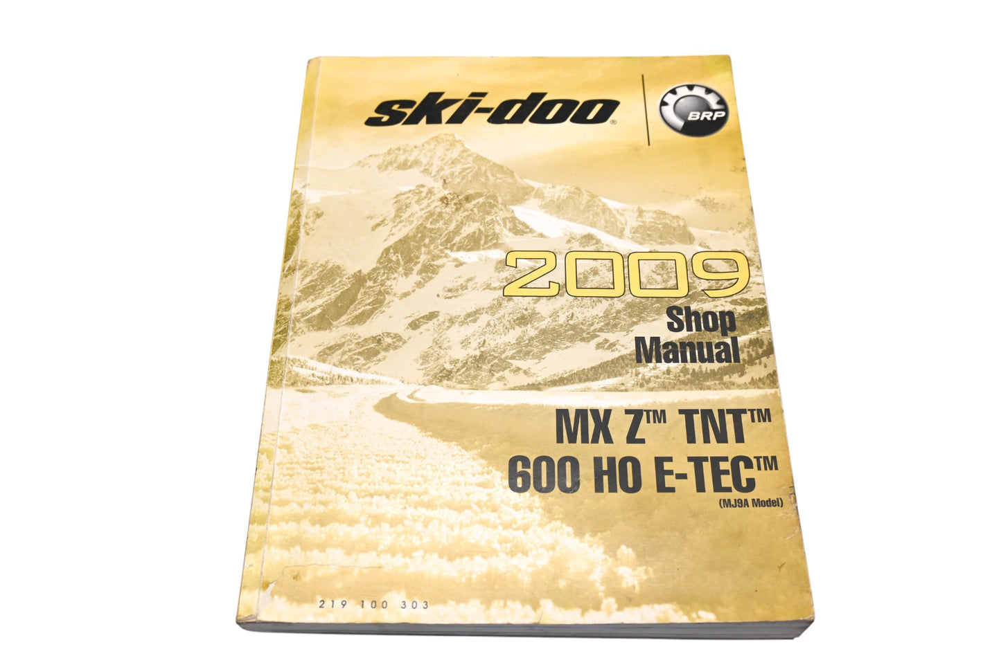 OEM Ski-Doo 219100303 2009 Shop Manual