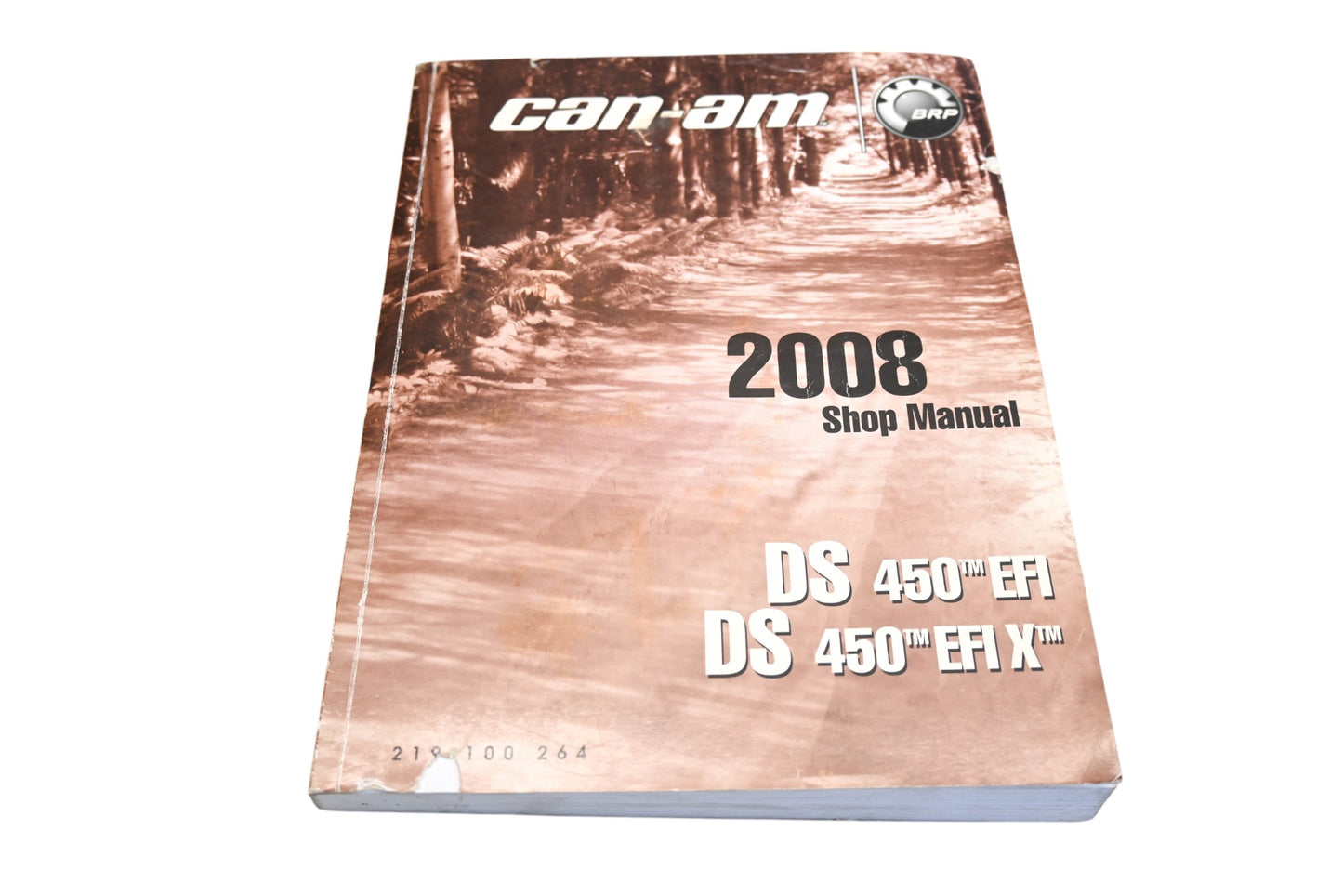 OEM Can-Am 219100264 2008 DS450 EFI DS450 EFI X Shop Manual