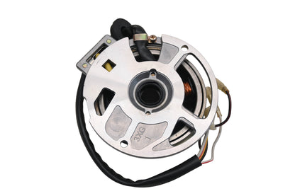 Alpha Sports 31120-117-000, 0450523 Stator Assembly Qty 1 NOS