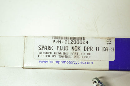 NEW OEM Triumph Spark Plug DPR8EA-9 America Speed Triple Thruxton T1290024 NOS