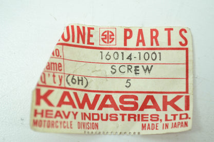 OEM Kawasaki 16014-1001 Pilot Adjusting Screw NOS
