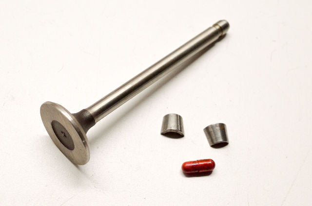 OEM Briggs & Stratton 390419 Exhaust Valve NOS