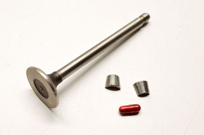OEM Briggs & Stratton 390419 Exhaust Valve NOS